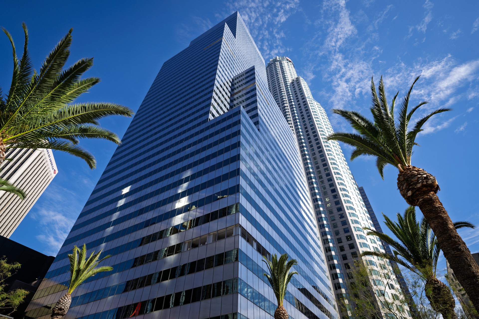 Modern Skyscrapers in Downtown Los Angeles